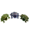Single Frog Bud Vase