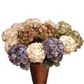 Paper Hydrangeas